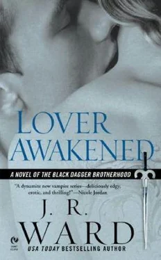 J. Ward Lover Awakened обложка книги