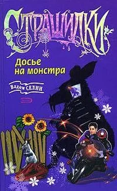 Вадим Селин Досье на монстра обложка книги