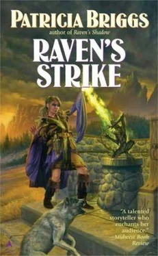 Patricia Briggs Raven's Strike обложка книги