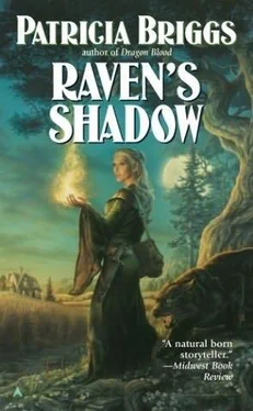 Patricia Briggs Raven's Shadow обложка книги