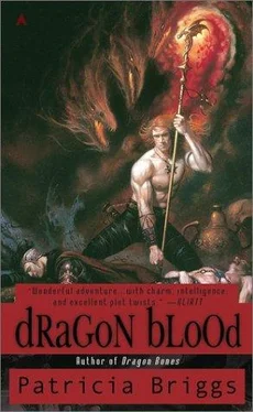 Patricia Briggs Dragon Blood обложка книги