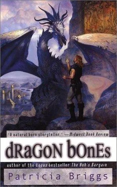 Patricia Briggs Dragon Bones обложка книги