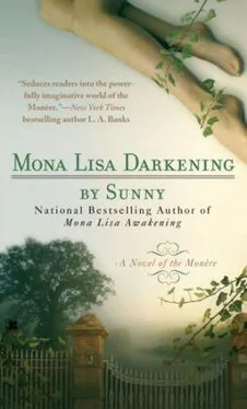 Sunny Mona Lisa Darkening обложка книги