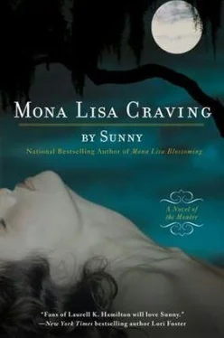 Sunny Mona Lisa Craving обложка книги