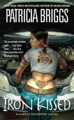 Patricia Briggs - Iron Kissed