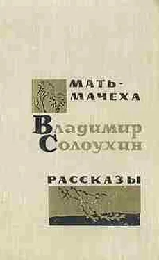 Владимир Солоухин Мать-мачеха обложка книги