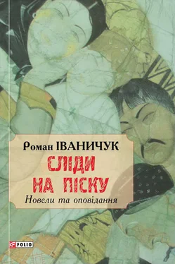 Роман Иванычук Сліди на піску обложка книги