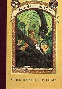 Lemony Snicket The Reptile Room обложка книги