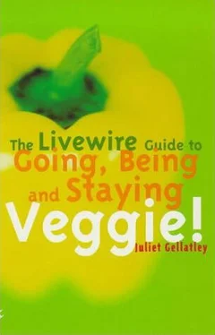 Джульет Геллатли Как стать, быть и оставаться вегетарианцем