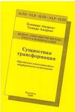 Коннира Андреас Сущностная трансформация. Обретение неиссякаемого источника обложка книги