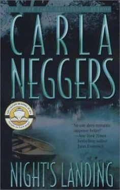 Carla Neggers Night’s Landing обложка книги