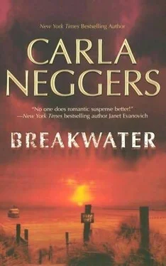 Carla Neggers Breakwater обложка книги