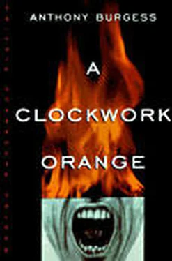 Anthony Burgess A Clockwork Orange (UK Version) обложка книги