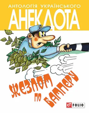 Олексій Кононенко Жезлом по бамперу. Анекдоти про тих, хто в дорозі і в міліції обложка книги