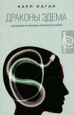 Карл Саган Драконы Эдема обложка книги