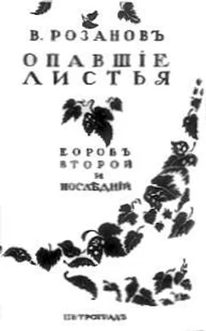 Василий Розанов Последние листья обложка книги