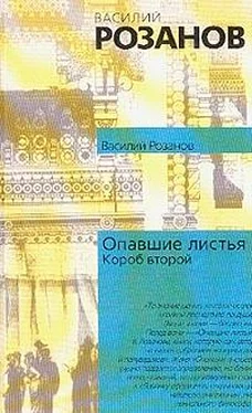 Василий Розанов Опавшие листья (Короб второй и последний) обложка книги