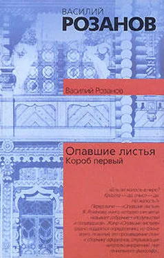 Василий Розанов Опавшие листья (Короб первый) обложка книги