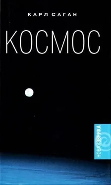 Карл Саган Космос обложка книги