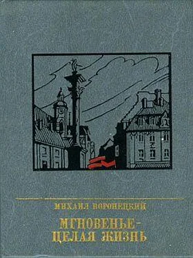 Михаил Воронецкий Мгновенье - целая жизнь обложка книги