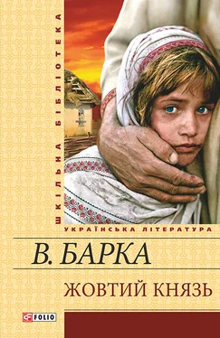 Василий Барка Жовтий князь обложка книги