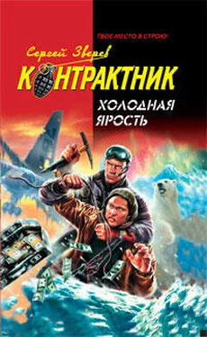 Сергей Зверев Холодная ярость обложка книги