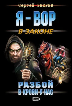 Сергей Зверев Разбой в крови у нас обложка книги