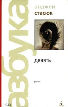 Анджей Стасюк Девять обложка книги