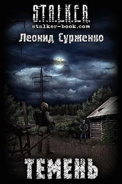 Леонид Сурженко Темень обложка книги