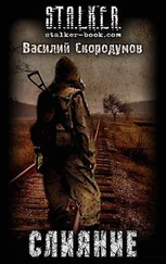 Василий Скородумов - Слияние