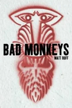 Matt Ruff Bad Monkeys обложка книги