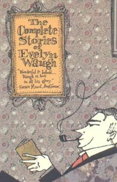 Evelyn Waugh The Complete Stories Of Evelyn Waugh обложка книги