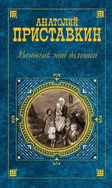 Анатолий Приставкин Вагончик мой дальний обложка книги