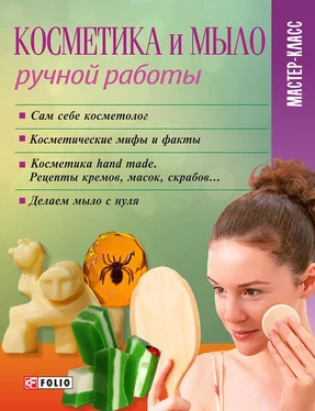 Мария Згурская Косметика и мыло ручной работы обложка книги