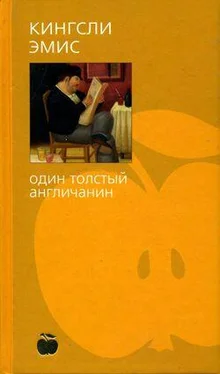 Кингсли Эмис Один толстый англичанин обложка книги