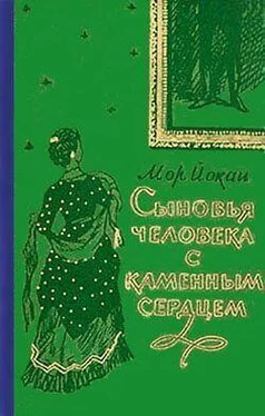 Мор Йокаи Сыновья человека с каменным сердцем обложка книги