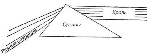 Таким образом рисунок совсем не меняется меняются только слова - фото 170