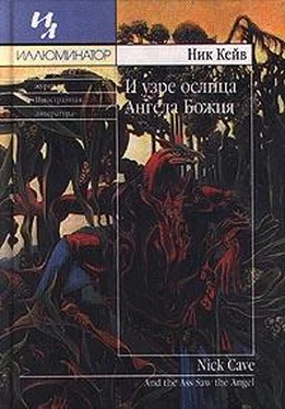 Ник Кейв И узре ослица Ангела Божия обложка книги