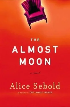 Alice Sebold The Almost Moon обложка книги