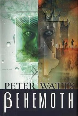 Peter Watts Behemoth обложка книги