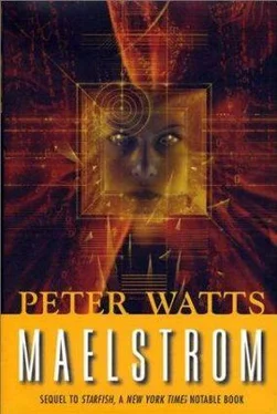 Peter Watts Maelstrom обложка книги