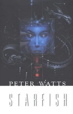 Peter Watts Starfish обложка книги