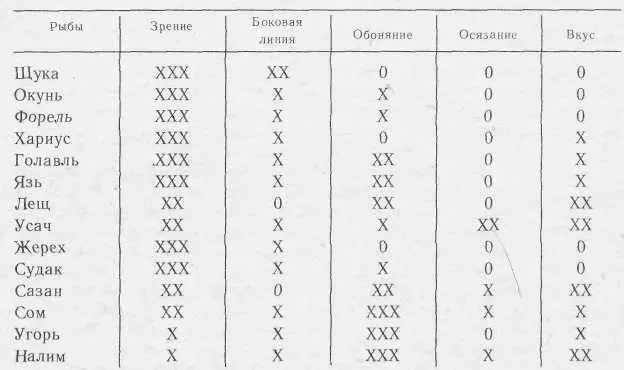 Условные обозначения XXX основной орган в отыскании пищи XX орган всегда - фото 2