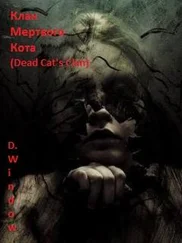 Window Dark - Клан Мёртвого Кота (Dead Cat's Clan)