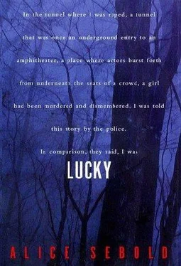 Alice Sebold Lucky обложка книги