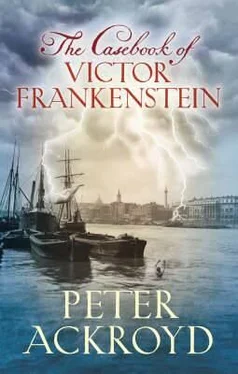 Peter Ackroyd The Casebook of Victor Frankenstein обложка книги