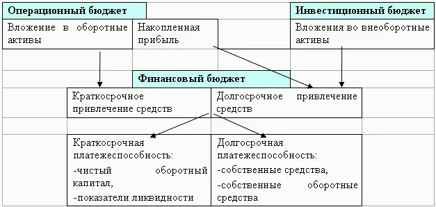 Особенностью инвестиционного бюджета является расчет баланса инвестиций - фото 159