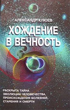 Александр Клюев Хождение в вечность обложка книги