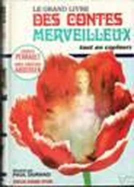 Hans Andersen Contes merveilleux, Tome I обложка книги