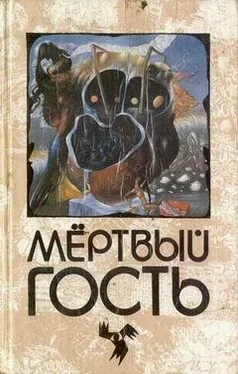 Пауль Хейзе Лесной смех обложка книги